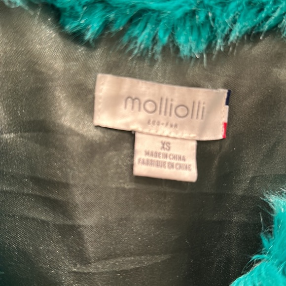 Eco Fur Teal Jacket with Stripe by Molly Olli for Anthropologie Shrimps style - Picture 2 of 6